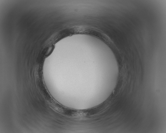 X0000080660217200701121615