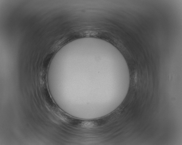 X0000080660218200701121615