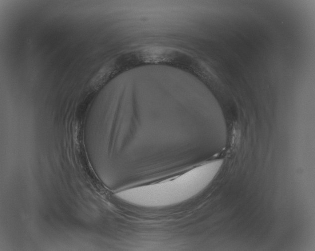 X0000080660219200701121615