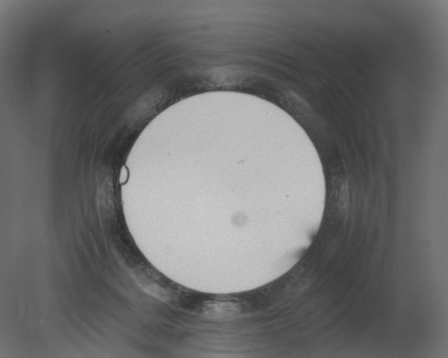 X0000080660220200701121615