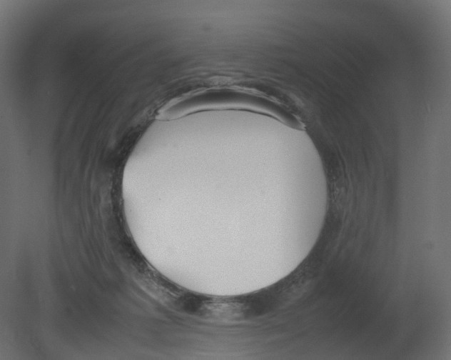 X0000080660221200701121615