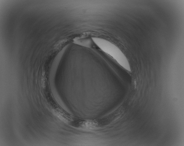 X0000080660223200701121615