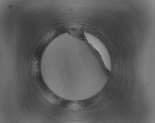 X0000080660224200701121615