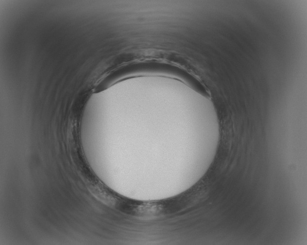 X0000080660225200701121615