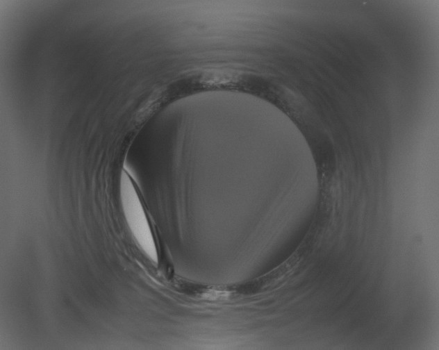 X0000080660227200701121615