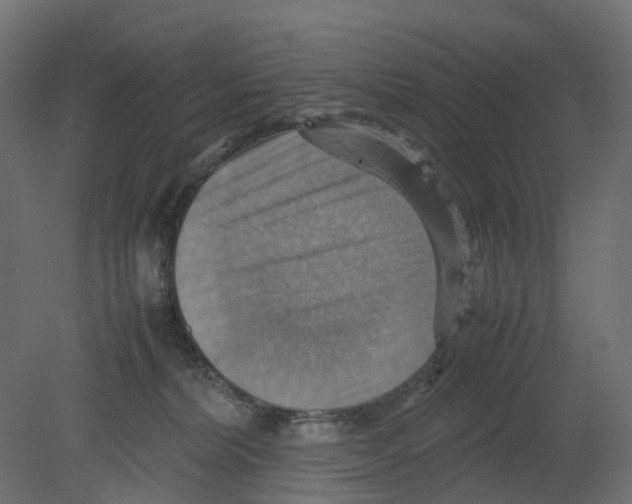 X0000080660228200701121615