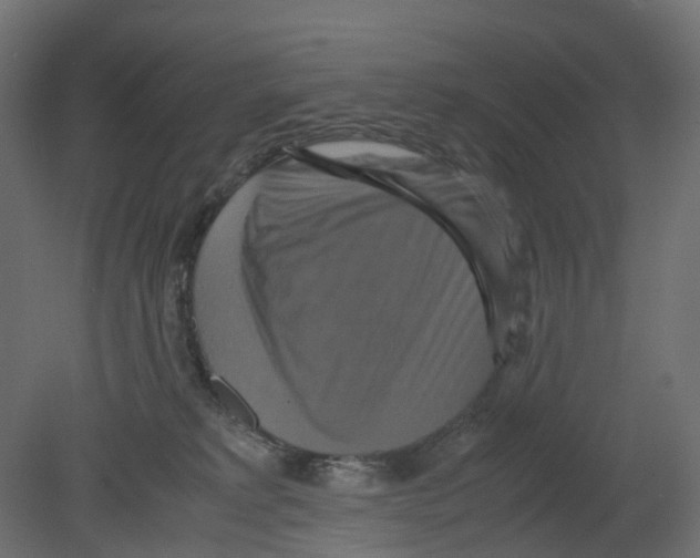 X0000080660229200701121615