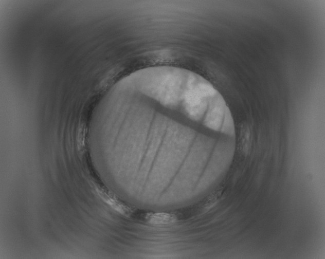 X0000080660230200701121615