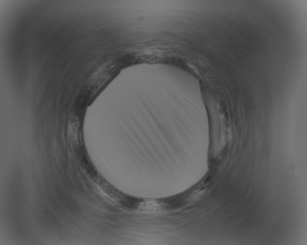 X0000080660231200701121615