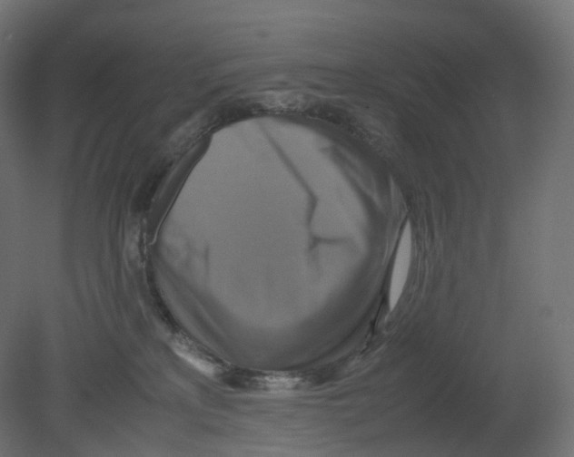 X0000080660233200701121614