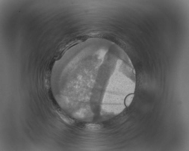 X0000080660234200701121614