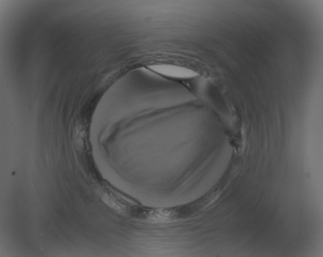 X0000080660235200701121614