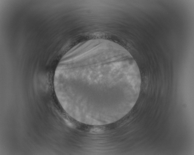 X0000080660236200701121614