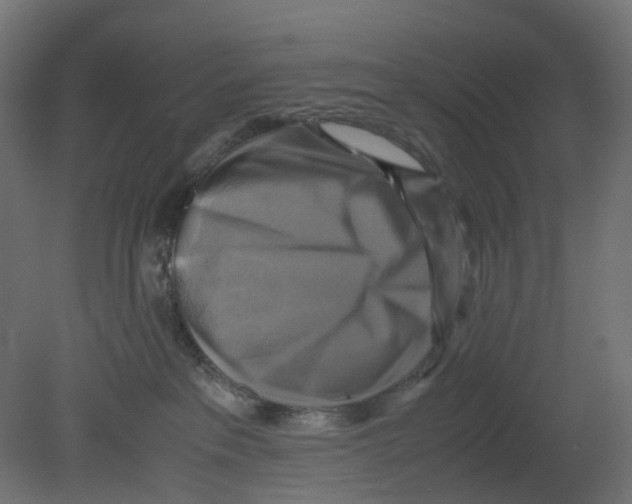 X0000080660237200701121614