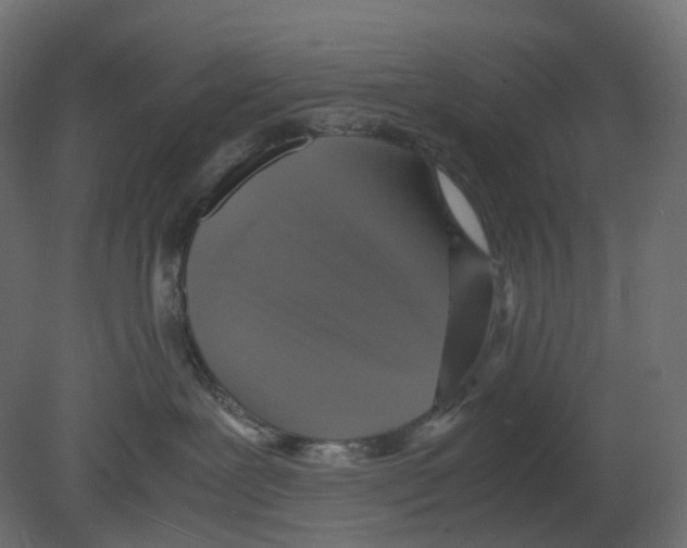 X0000080660239200701121614