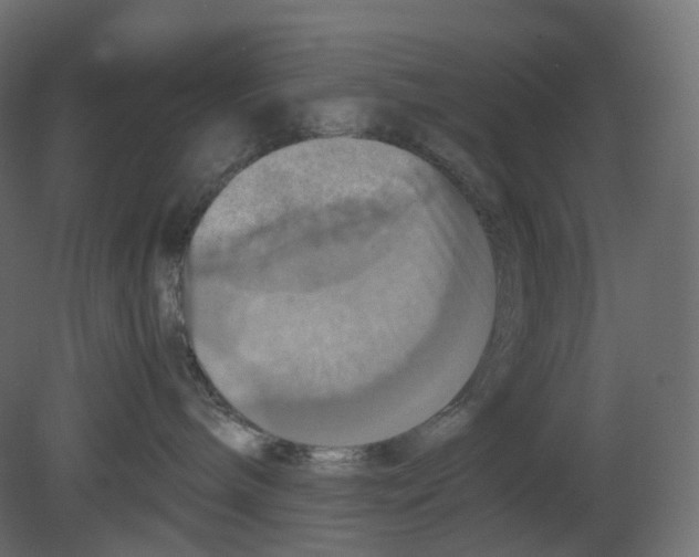 X0000080660240200701121614