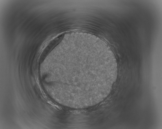 X0000080660241200701121614