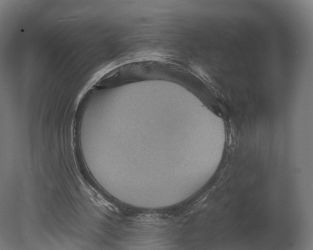 X0000080660244200701121614