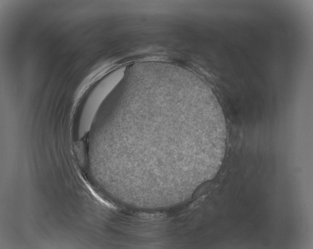 X0000080660245200701121614