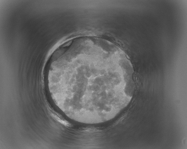 X0000080660246200701121614