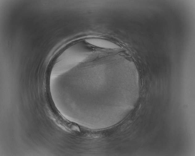 X0000080660247200701121614