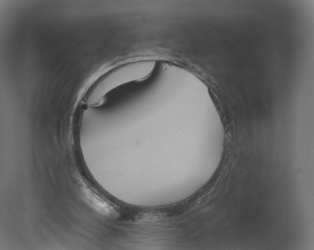 X0000080660248200701121614