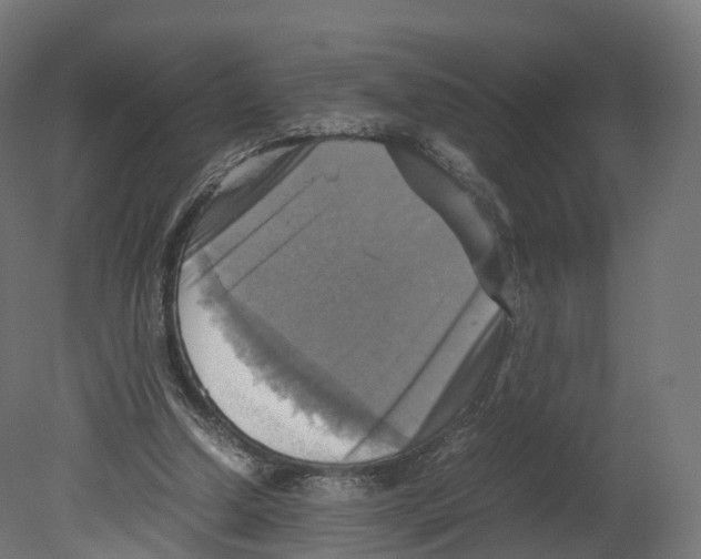 X0000080660250200701121614