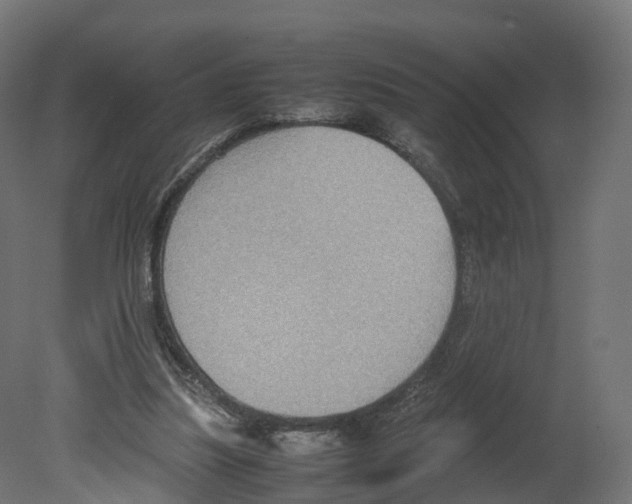 X0000080660251200701121614