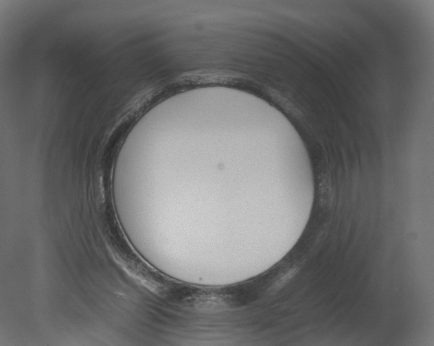 X0000080660254200701121614