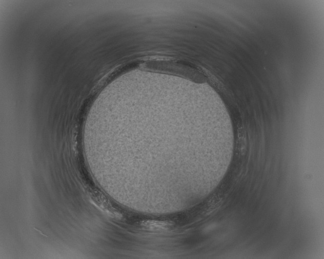 X0000080660255200701121614