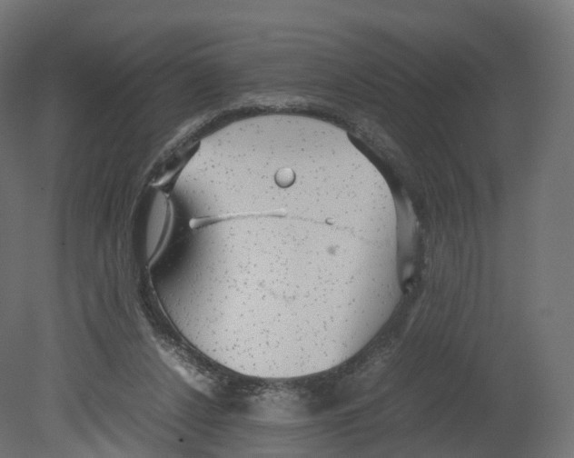 X0000080660256200701121614