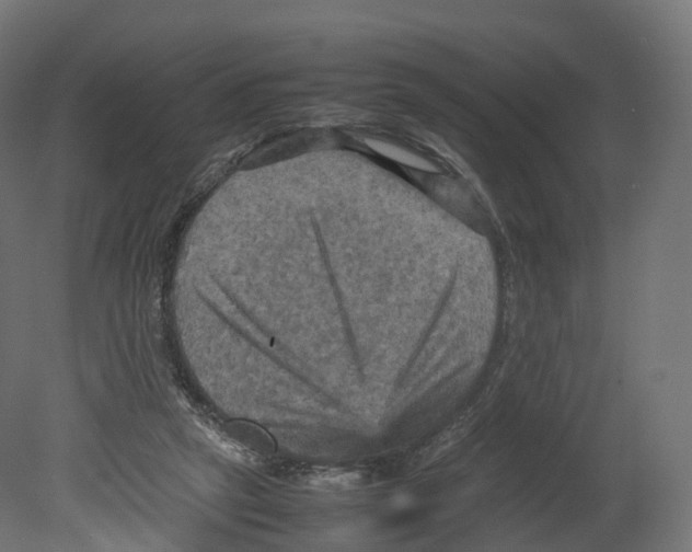 X0000080660257200701121614