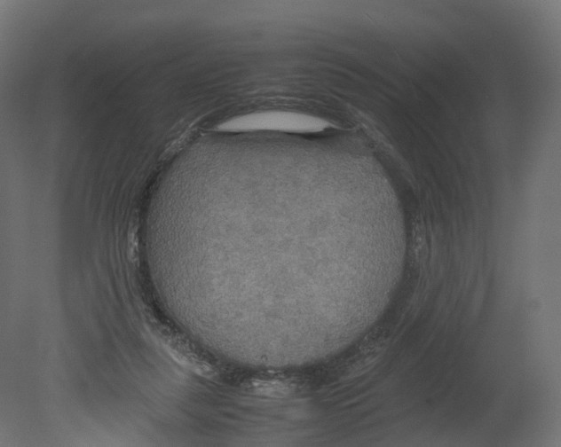 X0000080660259200701121614