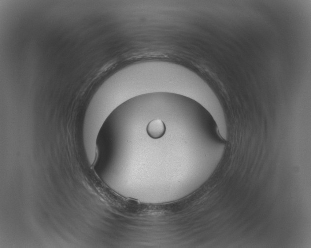 X0000080660260200701121614