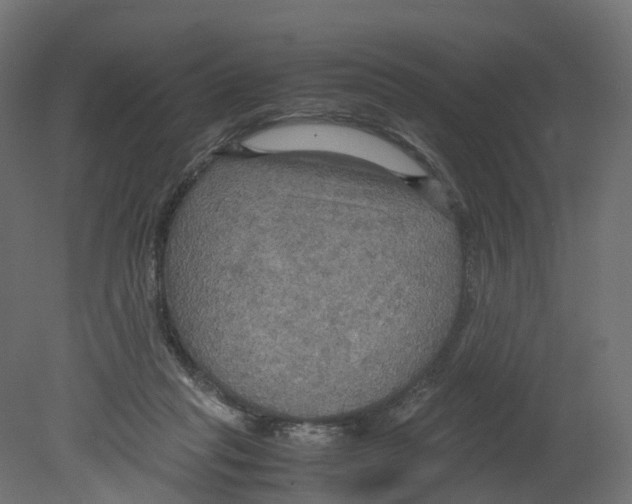 X0000080660261200701121614