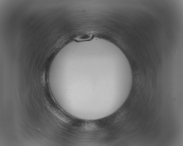 X0000080660262200701121614