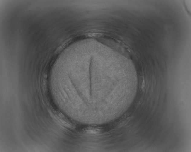 X0000080660263200701121614