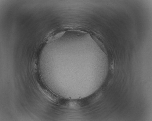 X0000080660264200701121614