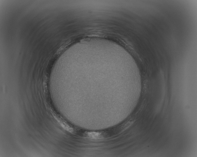 X0000080660265200701121614