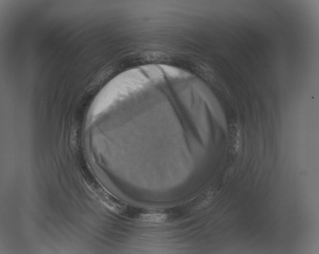 X0000080660266200701121614