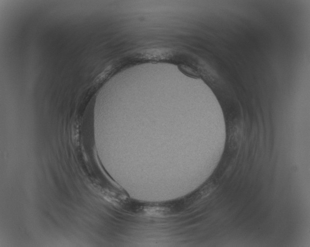 X0000080660268200701121614