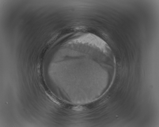 X0000080660269200701121614