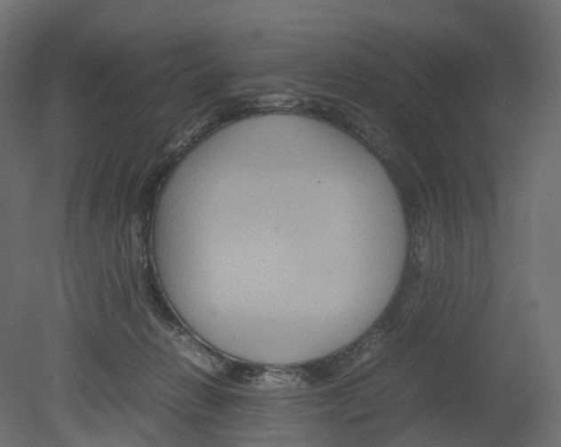 X0000080660270200701121614