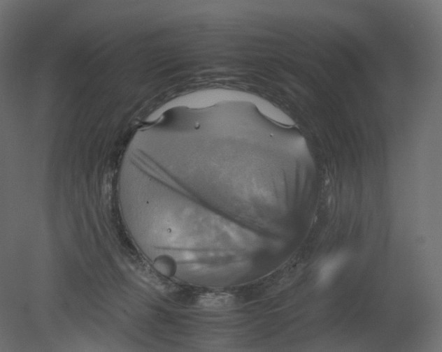 X0000080660271200701121614