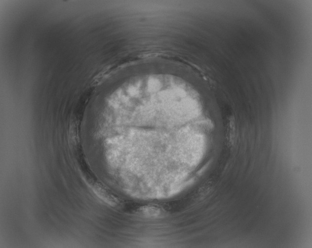 X0000080660272200701121614