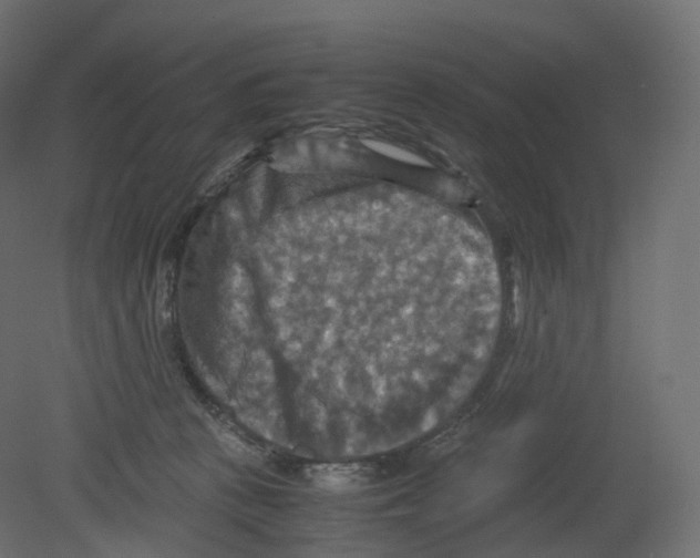 X0000080660273200701121614