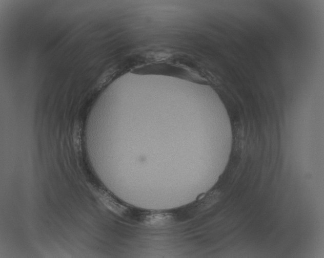 X0000080660274200701121614