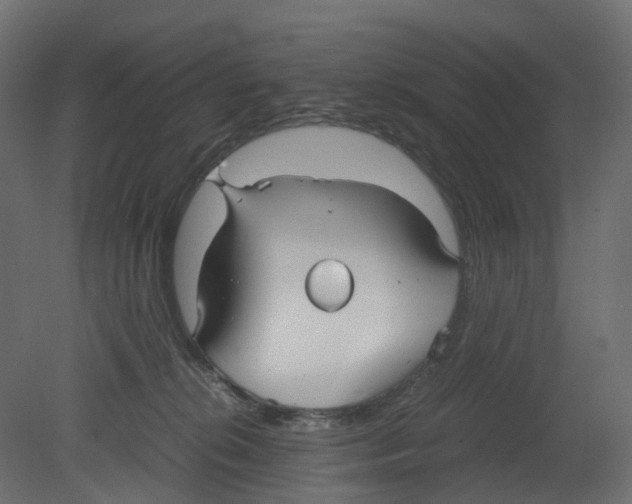 X0000080660276200701121614