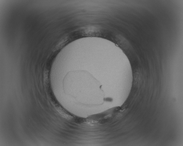 X0000080660278200701121614