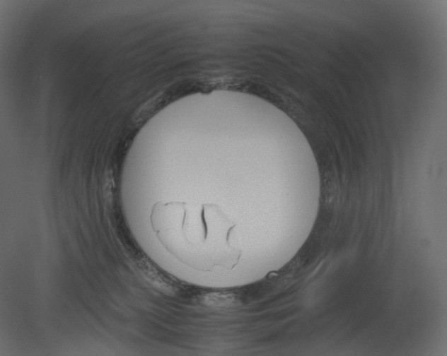 X0000080660279200701121614